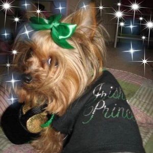 Meet your Posher, Jane